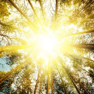 MÁY ĐO ĐỘ BỀN SÁNG SOLARBOX 3000E