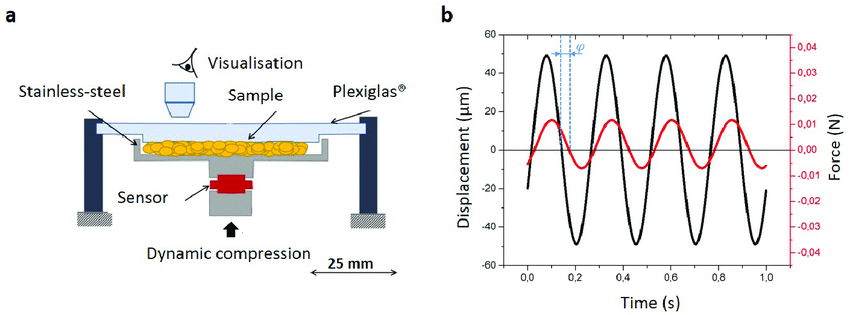 THỬ NGHIỆM LƯU BIẾN LÀ GÌ