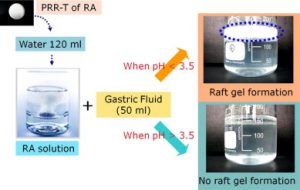 KIỂM TRA ĐỘ BỀN RAFT STRENGTH 